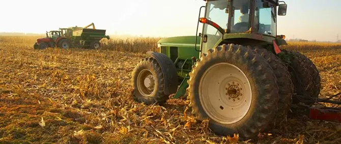 Truffa sui fondi europei, sequestri a 10 imprenditori agricoli crotonesi