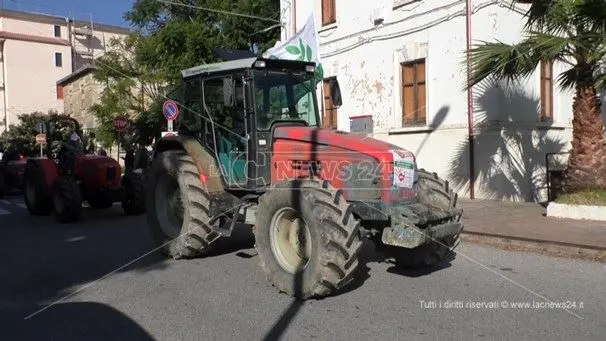 Olio, trattori in strada a Lamezia contro l’abbattimento dei prezzi