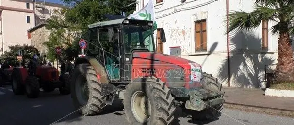Olio, trattori in strada a Lamezia contro l’abbattimento dei prezzi
