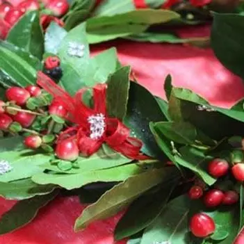 Giovane calabrese si laurea e muore dopo i festeggiamenti, disposta l'autopsia