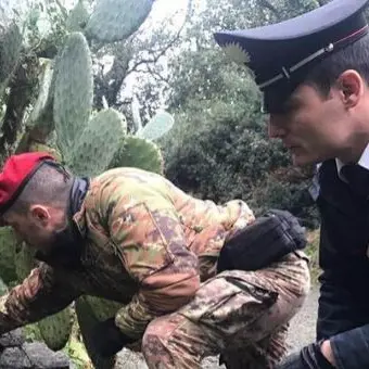 Fucile da caccia nascosto tra le rocce a Samo, era stato rubato nel 2008