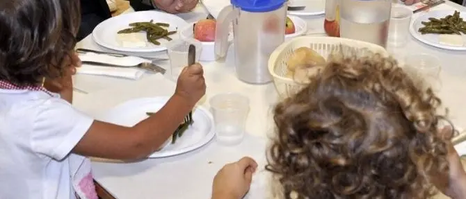 Mense scolastiche, blitz dei Nas in tutta Italia: «Rilevanti carenze igienico-sanitarie»