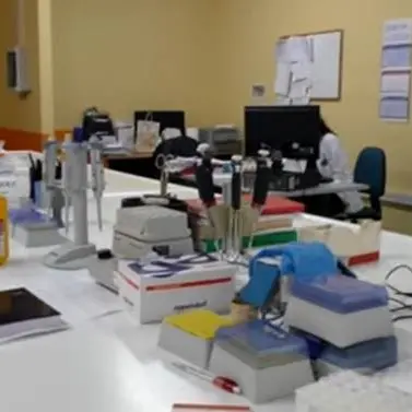 «Neurogenetica di Lamezia a rischio. Da Oliverio promesse disattese»