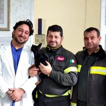 Cane salvato da una casa in fiamme dai vigili del fuoco a Cirò