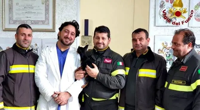 Cane salvato da una casa in fiamme dai vigili del fuoco a Cirò