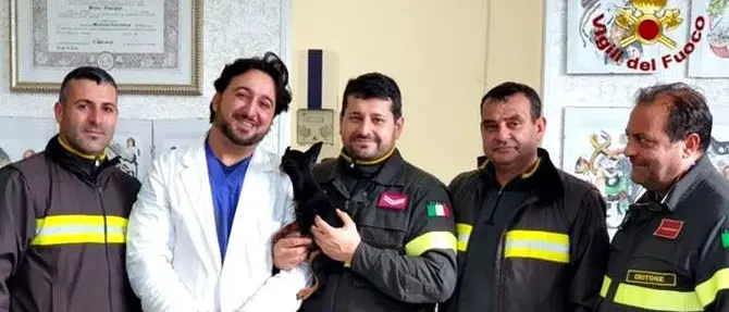 Cane salvato da una casa in fiamme dai vigili del fuoco a Cirò