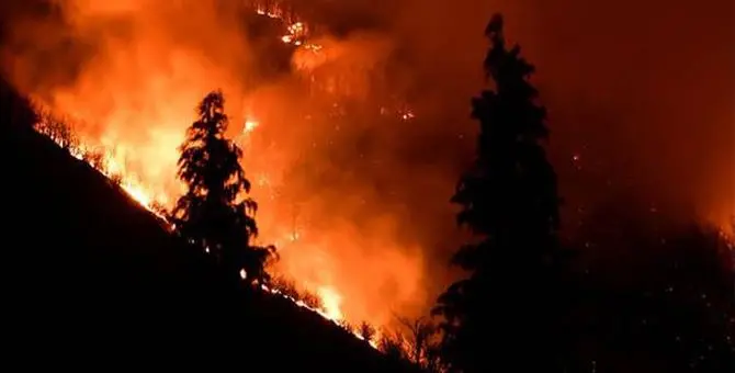 Longobucco, 5 indagati per l'incendio di Paleparto che durò un mese