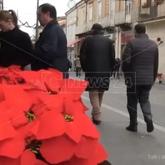 Fiori ai carabinieri, l'inizio di un nuovo corso per Vibo e la Calabria?