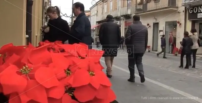 Fiori ai carabinieri, l'inizio di un nuovo corso per Vibo e la Calabria?