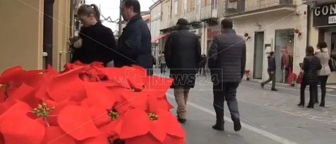 Fiori ai carabinieri, l'inizio di un nuovo corso per Vibo e la Calabria?