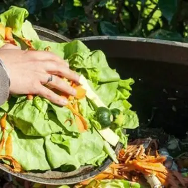 Natale degli sprechi in Calabria: «20 milioni di euro di cibo finiranno nella spazzatura»