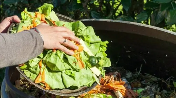 Natale degli sprechi in Calabria: «20 milioni di euro di cibo finiranno nella spazzatura»