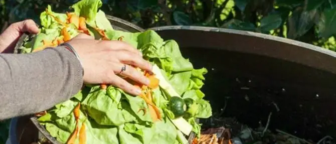 Natale degli sprechi in Calabria: «20 milioni di euro di cibo finiranno nella spazzatura»
