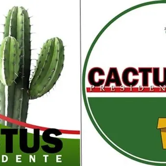 Regionali, arriva anche la lista del… Cactus. Per ridere ma non solo