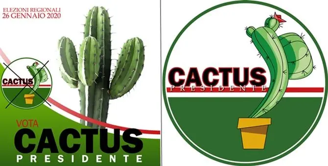 Regionali, arriva anche la lista del… Cactus. Per ridere ma non solo