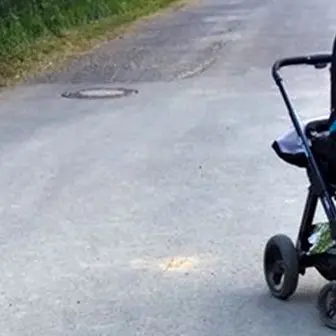 Tenta di rapire una bimba in strada e aggredisce il nonno: bloccato dai passanti