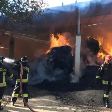 Incendio distrugge una stalla a Borgia, salvati gli animali