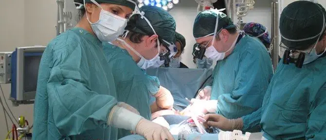 Muore a 12 anni in ospedale per un'occlusione intestinale: aveva mal di pancia