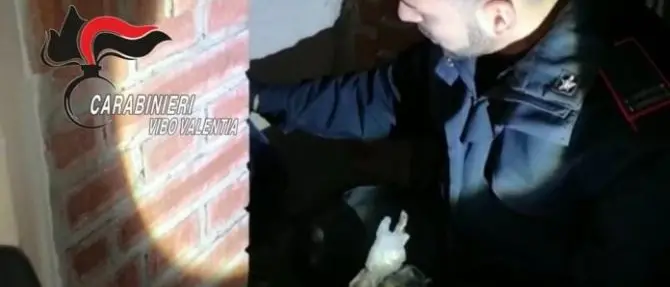 Armi e droga scoperte in case disabitate a Gerocarne