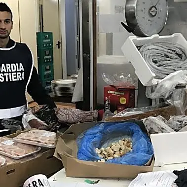 Pesce per il cenone mal conservato, sequestri in un ristorante vibonese