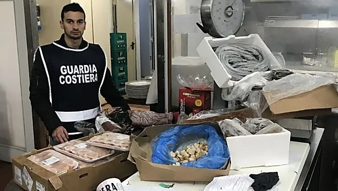 Pesce per il cenone mal conservato, sequestri in un ristorante vibonese