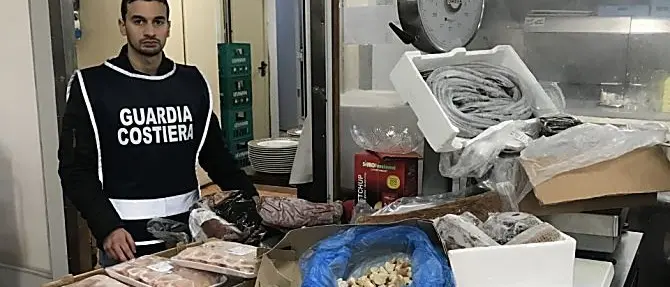 Pesce per il cenone mal conservato, sequestri in un ristorante vibonese