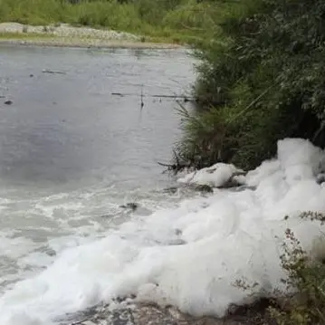 Ricadi, sostanze tossiche sversate da un villaggio turistico in un torrente