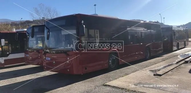 Cosenza, presto in strada i nuovi autobus acquistati dall'Amaco