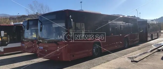 Cosenza, presto in strada i nuovi autobus acquistati dall'Amaco