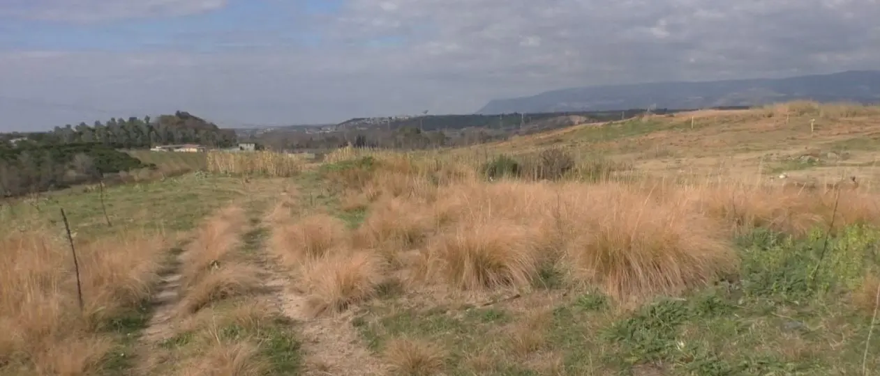 La discarica di Rosarno, una bomba ecologica nel cuore della Piana