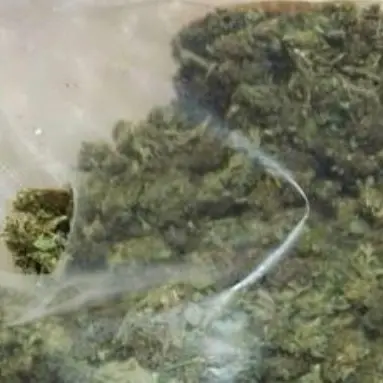 Droga sotto l'asse di legno di un magazzino, ai domiciliari 18enne di Villapiana