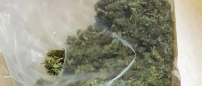 Droga sotto l'asse di legno di un magazzino, ai domiciliari 18enne di Villapiana