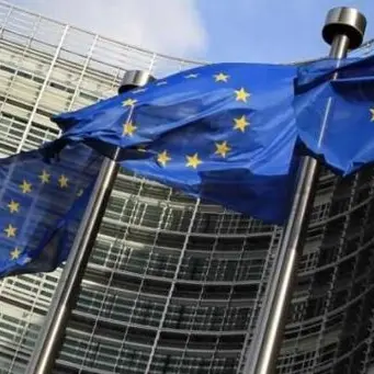 Truffa all’Unione europea, le mani dei clan messinesi su fondi milionari