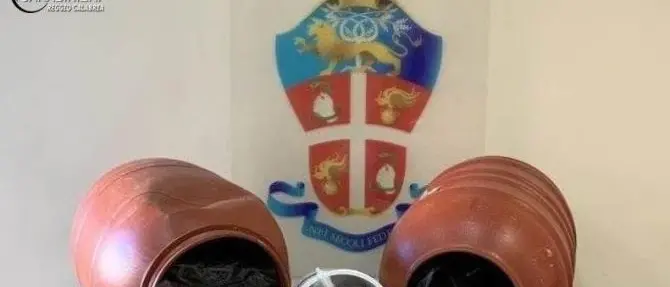 Gioiosa, scoperti 14 chili di marijuana in fusti di plastica