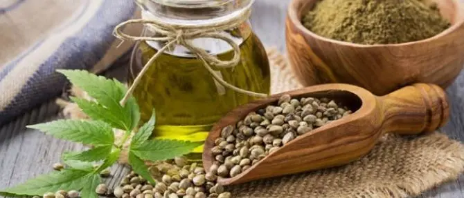 Via libera alla cannabis a tavola: fissati i limiti massimi di Thc negli alimenti