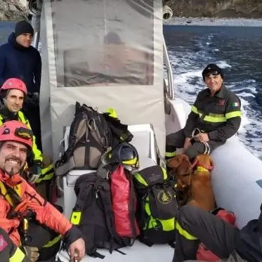 Cani cadono in un burrone a Seminara, soccorsi e salvati