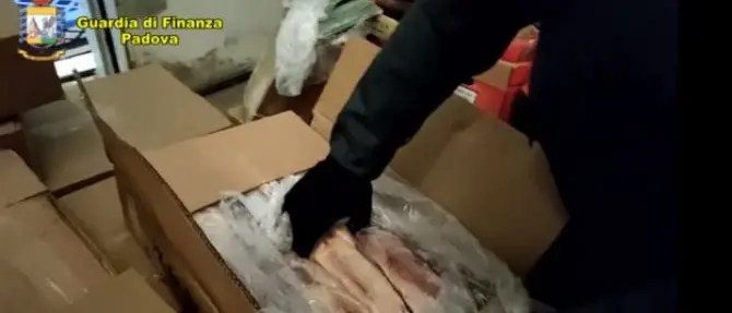 Peste suina, sequestrate e incenerite 10 tonnellate di carne dalla Cina