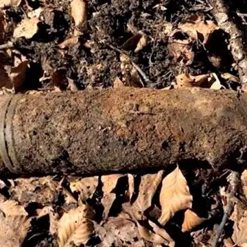 Ordigno bellico trovato e fatto esplodere in Aspromonte
