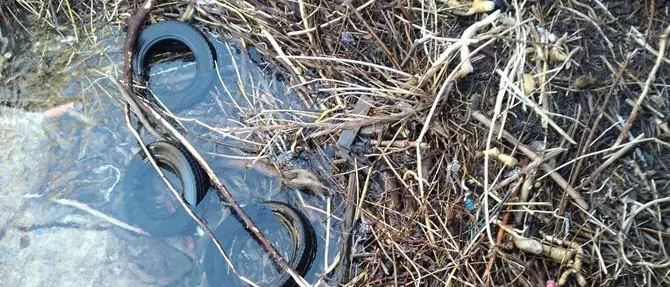 Diamante, rifiuti pericolosi sull'isola di Cirella e nel fiume Corvino