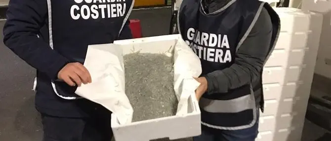 Villa San Giovanni, sequestrati 10 quintali di novellame