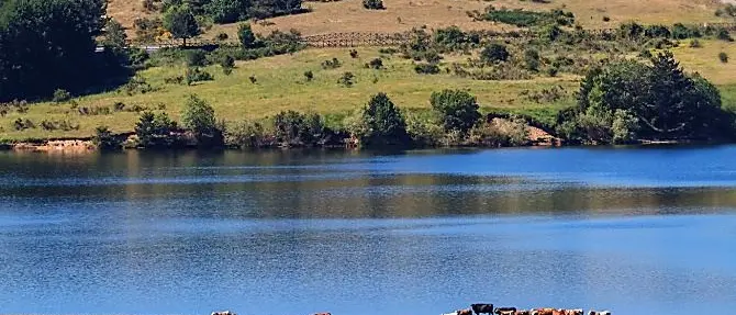 Le foreste della Sila protagoniste in tv