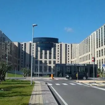 Il decreto lampo della Regione: «Dal Comune di Sersale a direttore del Bilancio in meno di un mese»