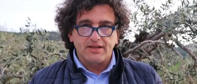 Aiello (5s) punta il dito contro il fuoco amico: «Ho perso anche per i livori interni»