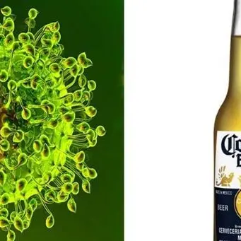 Coronavirus? Per il web è legato alla birra: Google mostra le ricerche online