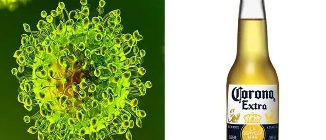 Coronavirus? Per il web è legato alla birra: Google mostra le ricerche online