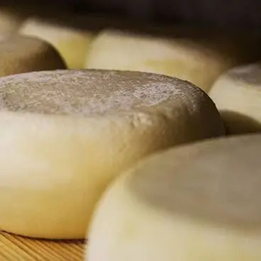 Otto prodotti tipici calabresi in gara nel progetto Paniere d’Italia