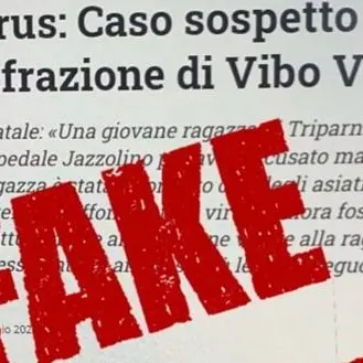 Coronavirus, la grafica de Il Vibonese utilizzata per una fake news