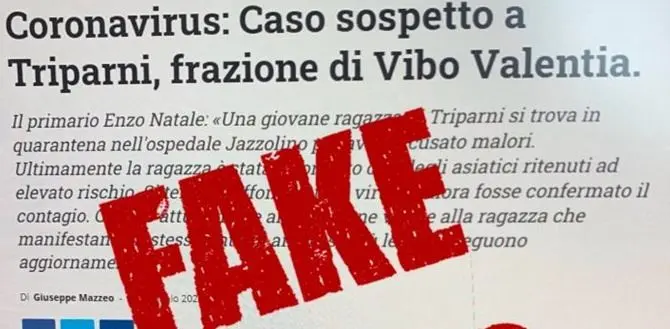 Coronavirus, la grafica de Il Vibonese utilizzata per una fake news