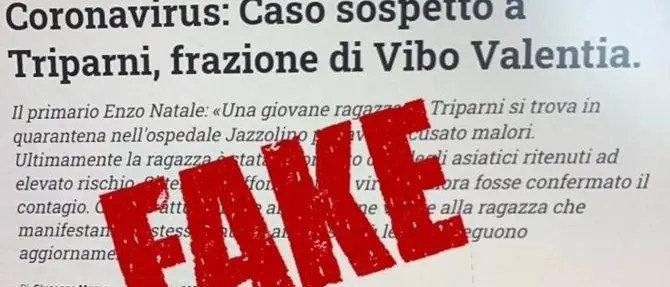 Coronavirus, la grafica de Il Vibonese utilizzata per una fake news