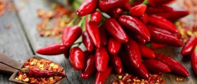 Festival di Sanremo, il peperoncino calabrese ancora protagonista